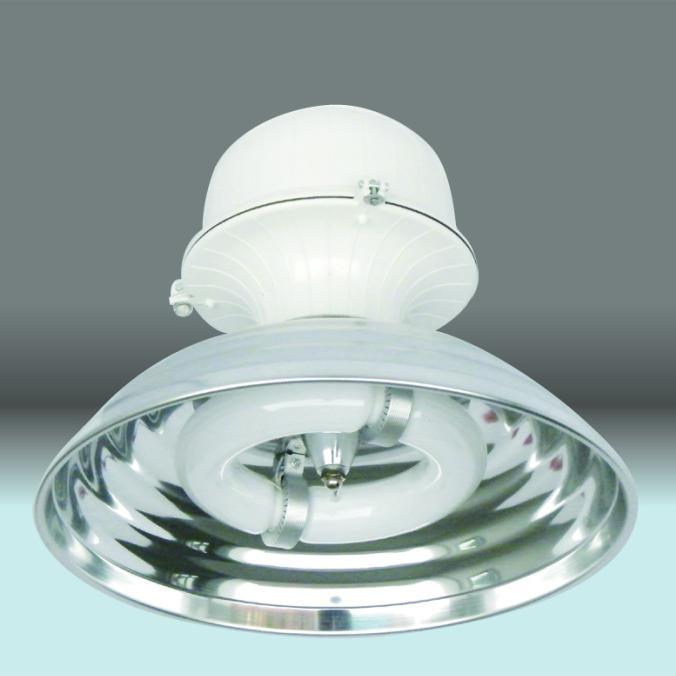 Electrodeless High Bay Light Gr40 80W Low Frequency Induction Lighting