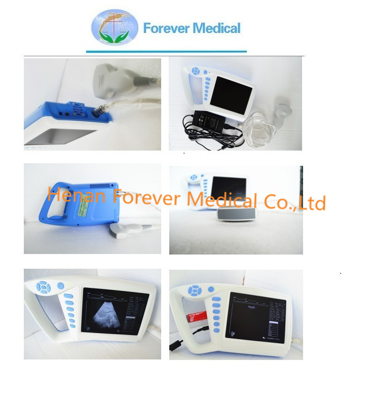 Handheld Veterinary Vet Ultrasound Scanner with Sector Probe