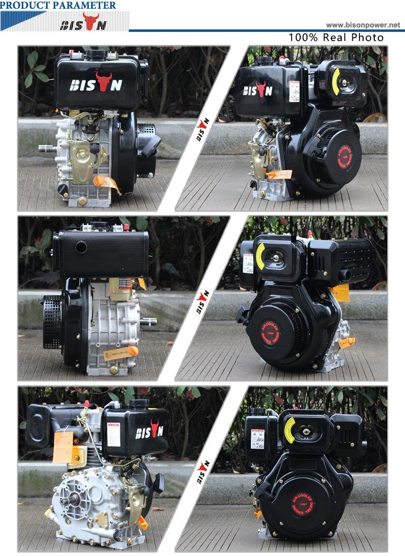 Bison (China) Best Sale BS186fa 499c 7.6kw 230V Electric Start Strong Power Marine Diesel Engine