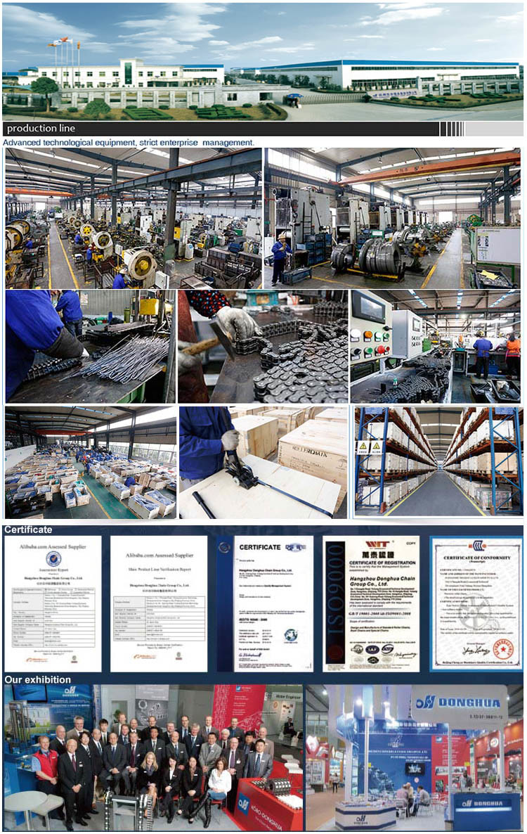 ISO 9001: 2008 Stainless Steel Transmission Conveyor Roller Chain