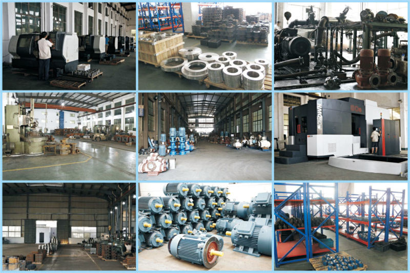 Single Stage Water Ring Vacuum Pump