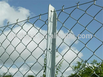 Top Quality Fully Automatic Chain Link Fence Machine with Competitive Price