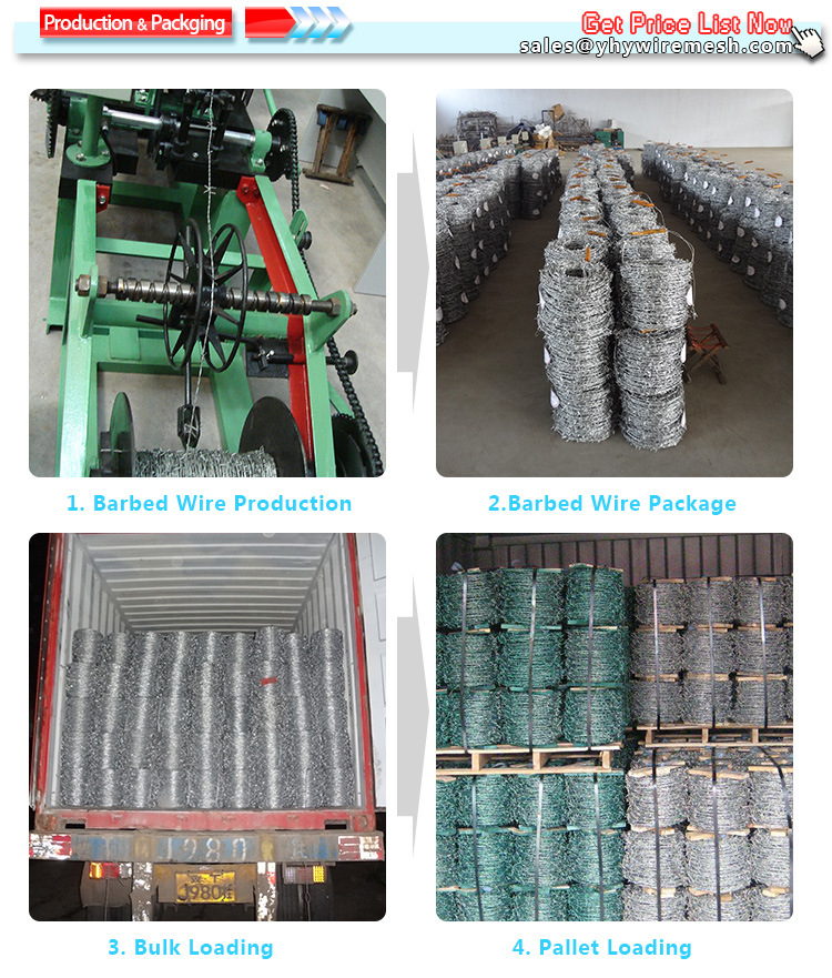 PVC Coated Galvanized Barbed Wire