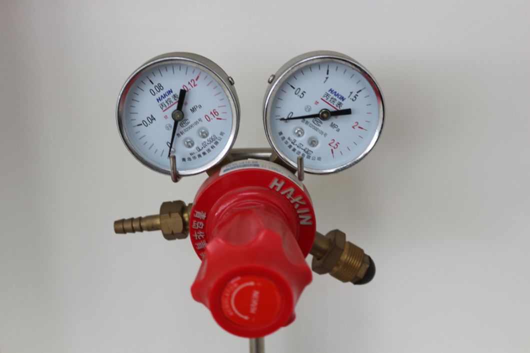 Factory Supplier Propane Regulator with Good Selling