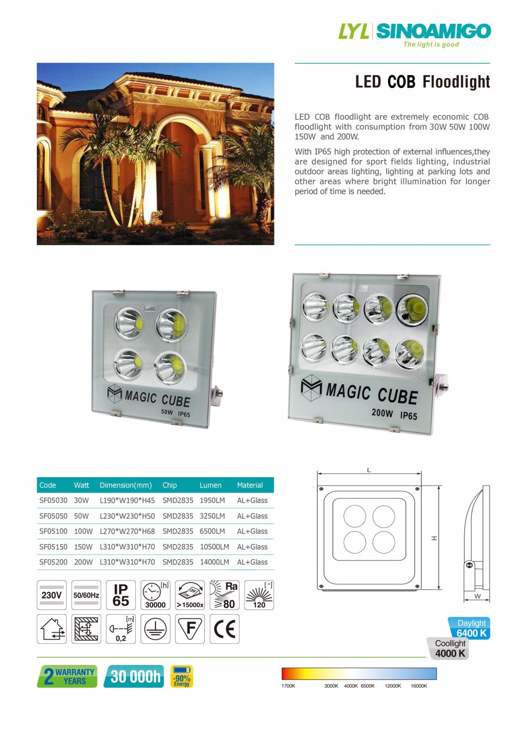 30W 50W 100W 150W 200W LED COB Floodlight