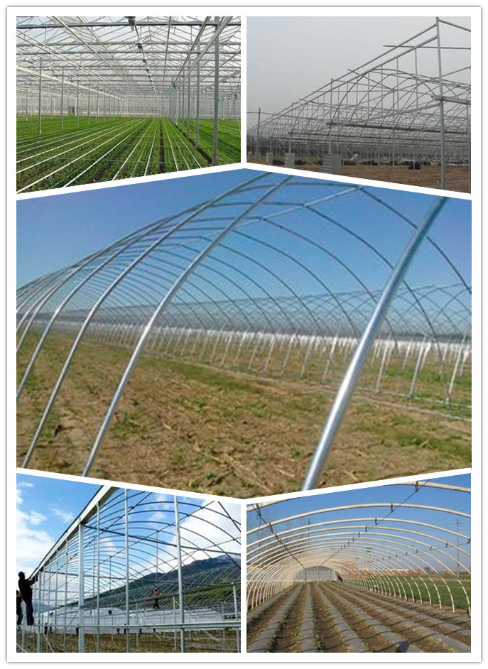 Galvanized Steel Pipe/ Steel Tube From Greenhouse