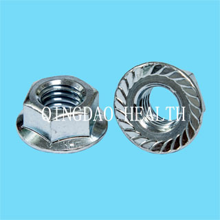 DIN 6923 / ISO 4161 Hexagon Flange Nut