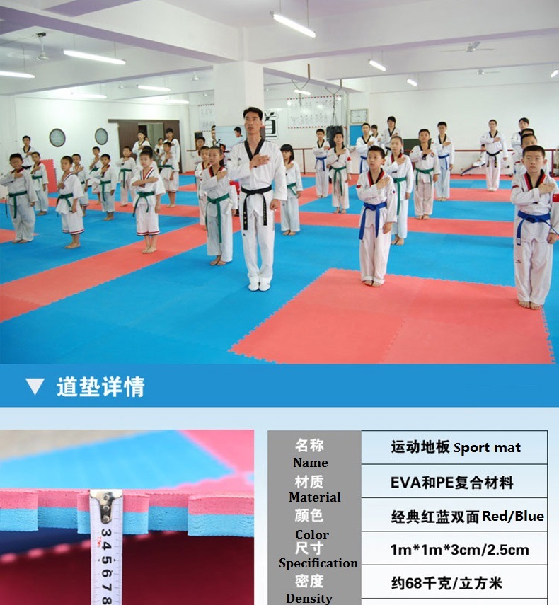 Martial Arts Style Interlocking EVA Floor Mat