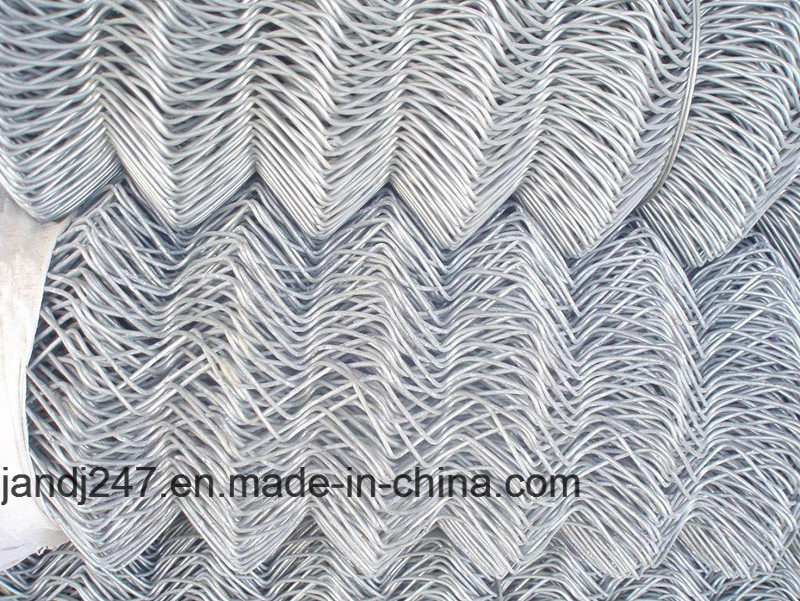 Hot Dipped Galvanized Chain Link Fence with Low Price