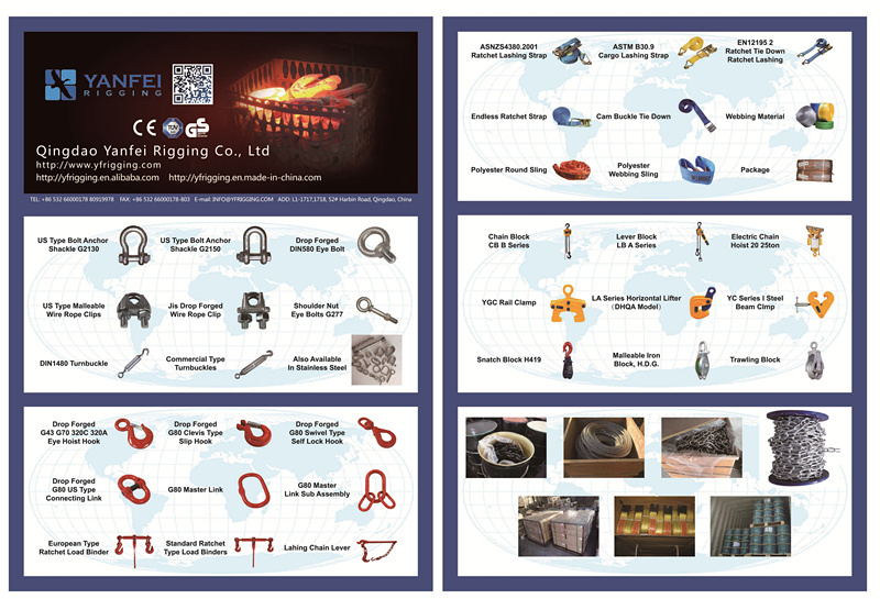 U. S. Type Drop Forged Alloy Steel G209 Hardware Marine Shackle