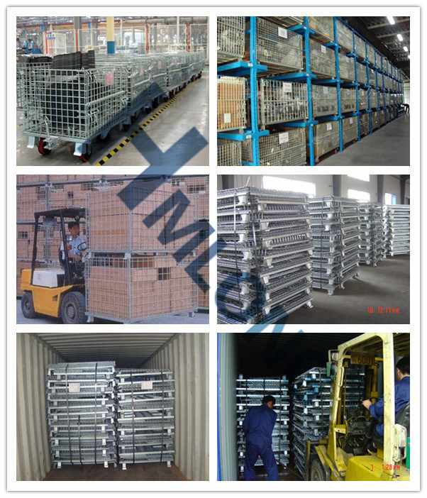 Collapsible Metal Cargo Storage Cage for Warehouse