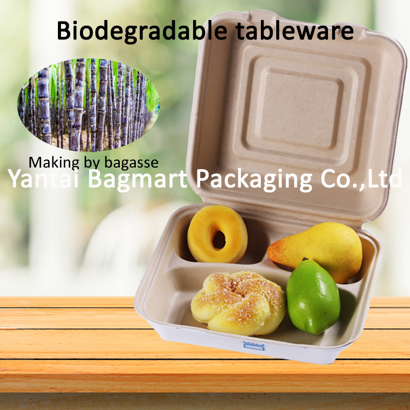Eco Biodegradable Disposable Bagasse Tableware White Paper Pulp Plate