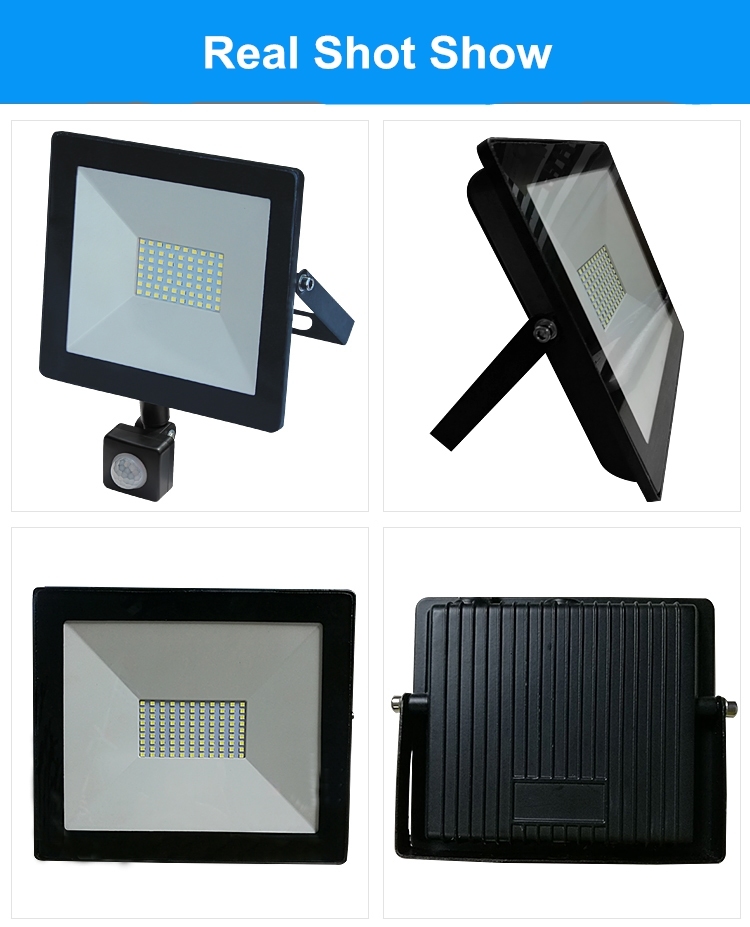 10W-100W IP65 Driverless Linear Ultra Slim Apple LED Floodlight