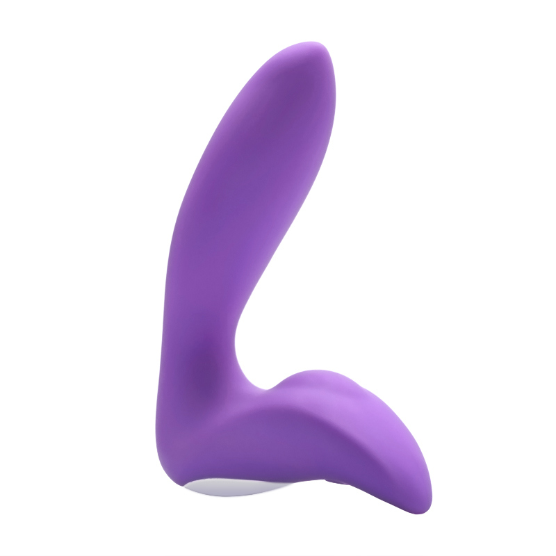 12 Speed Sex Toys Vibrating Massager Wireless Remote Control Anal Toy