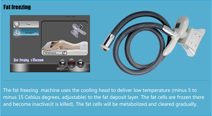4 in 1 40 K Cavitation RF Lipo Laser Body Slimming Fat Freezing Weight Loss Zeltiq Cryo Cryolipolysis Machine Equipment