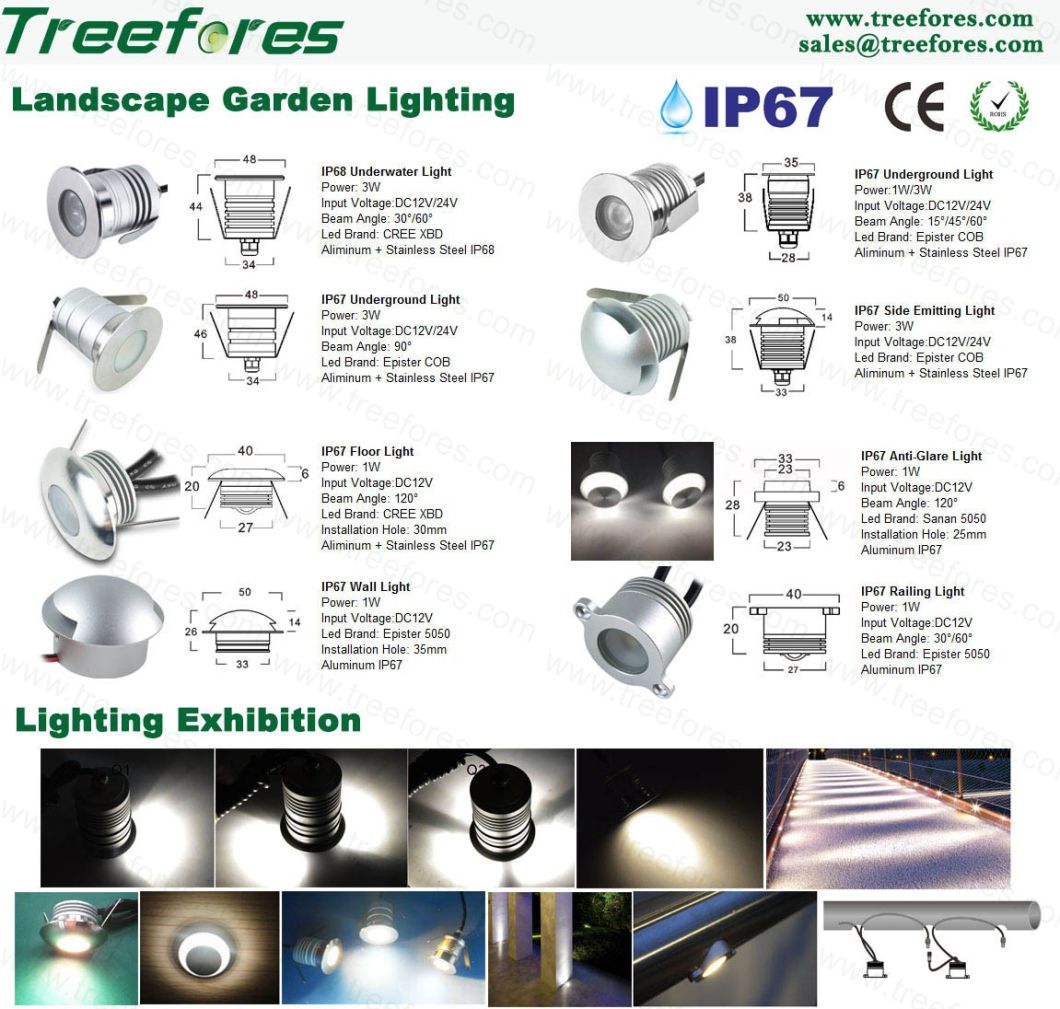 1W 3W IP68 CREE LED Light 12V 24V LED Downlight for Suana Bathroom Lighting