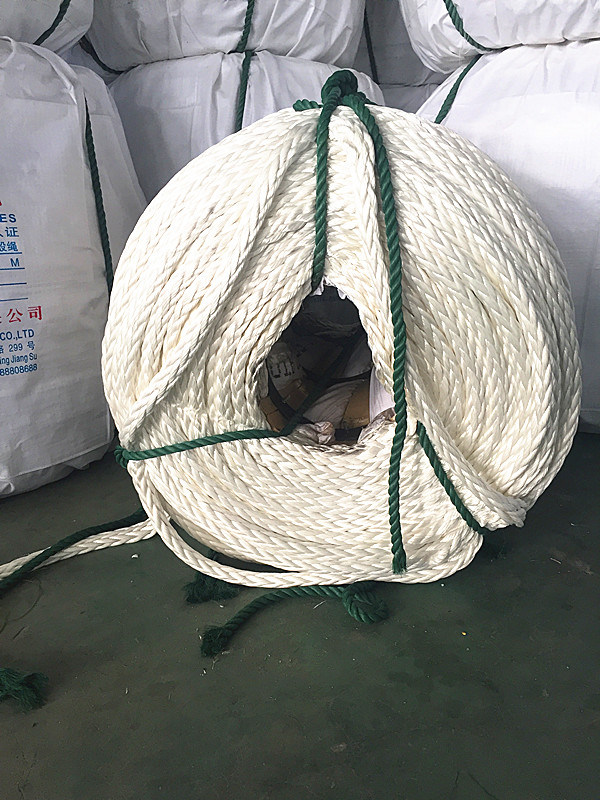 China Manufacturer 12 Strand UHMWPE Rope, Hmpe Rope, Marine Rope