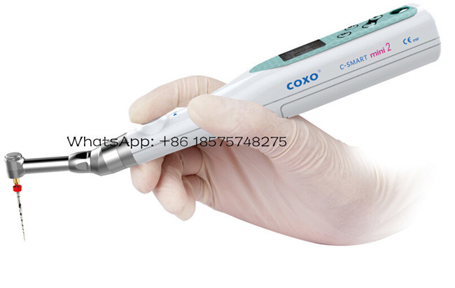 Dental Endo Motor Mate Coxo Endodontic Treatment Equipments