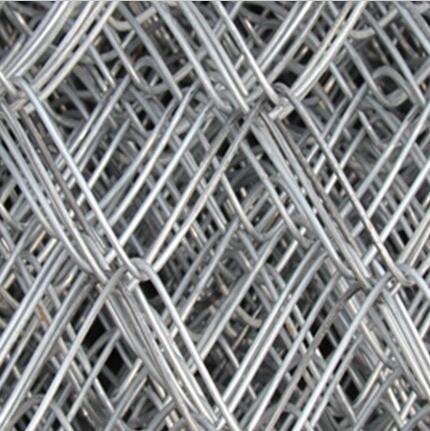 PVC&PE Coated Chain Link Fence