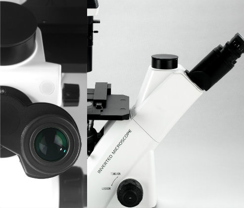 New Model Nk-310t 40X-400X Trinocular Phase Contrast Biological Inverted Microscope