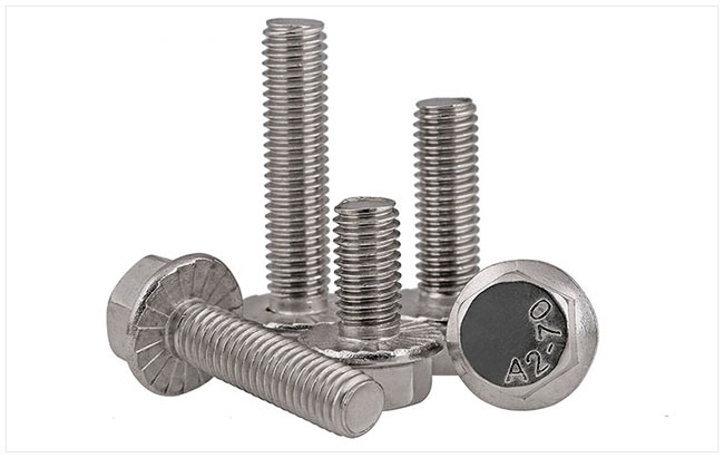 Stainless Steel Hex Head Hexagon Flange Bolt