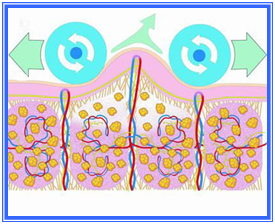 Multifunction Vacuum RF Ultrasonic Cavitation Slimming Machine