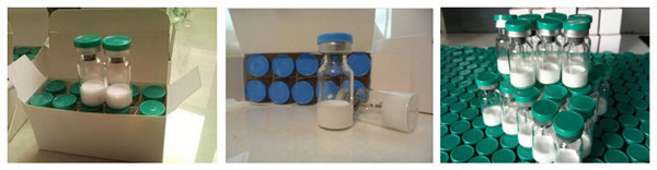 Dsip Pharmaceutical Chemical Weight Loss Peptide Powder Peptides Dsip