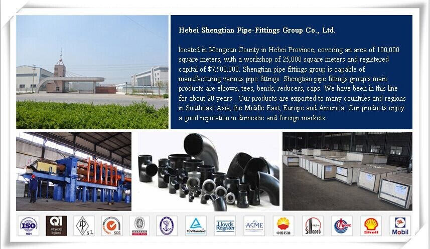 Carbon Steel Plate Flat Face Flat Flange Pipe