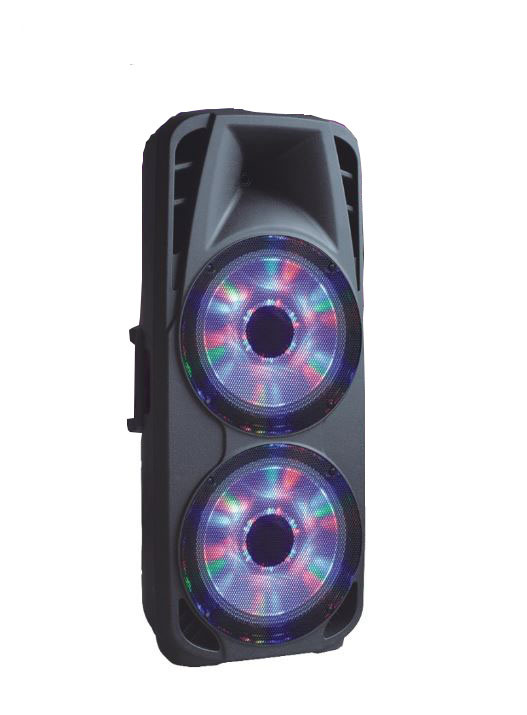 Shinco 15''*2 Mobile Party DJ LED Karaoke Trolley Bluetooth Multimedia Speaker with Stage Light
