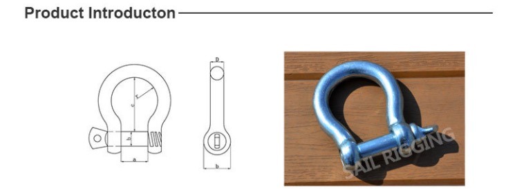 Marine Bow Shackle European Type Bow Shackle