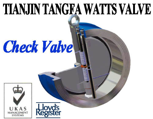 Dual Plate Check Valve for Fresh Water