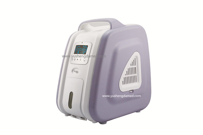 Hot Sale Medical Equipment Portable Small Oxygen Concentrator Vg-2