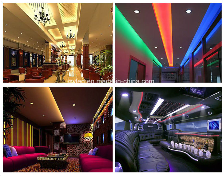 DC12V Flexible 5050 Waterproof LED Strip Light