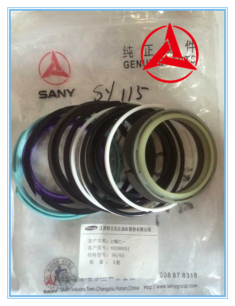 Sany Excavator Bucket Cylinder Seals 60035549k for Sy215