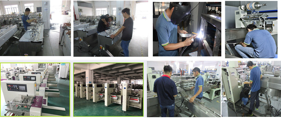 Good Quality Autoamatic Vegetable Flow Packing Machine