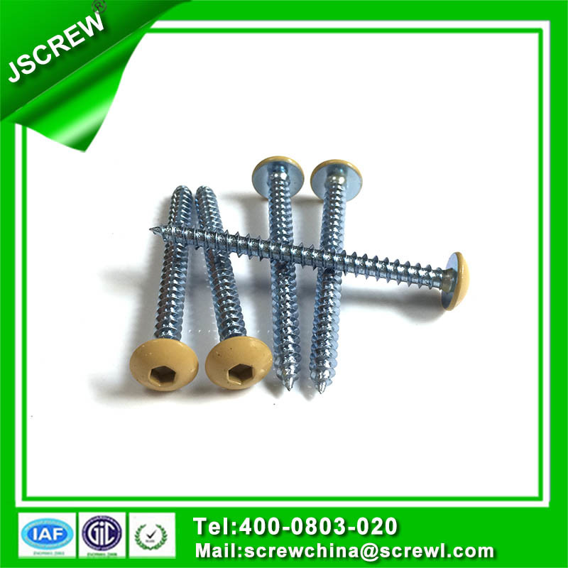 Round Mushroom Painted Head M5 Confirmat Screws