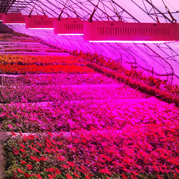 High Efficiency Full Spectrum Garden Greenhouse LED Grow Lamp