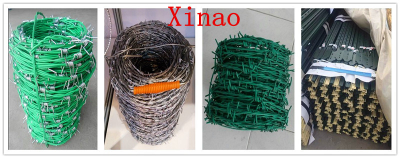 Plastic Coated Agriculture Fence Barbed Wire Galvanized/Barda Cattle Puas