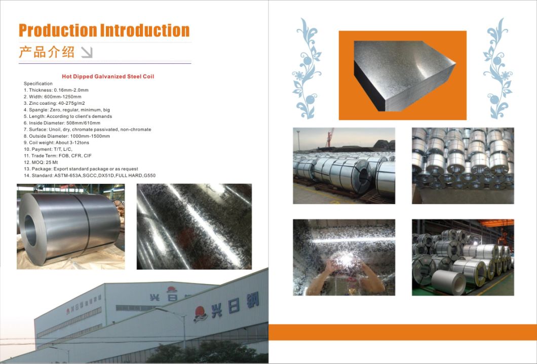 Hot Dipped Galvanized Steel Coils and Strip