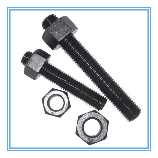 Stainless Steel Full Threaded Bolt/Thread Rod with Nuts
