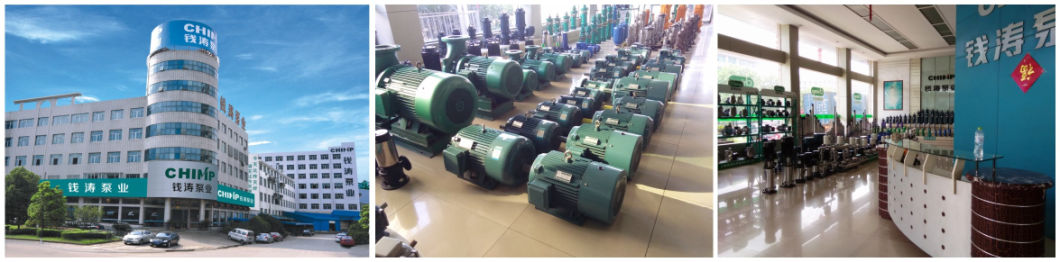 V1300d Sewage Submersible Single Phase Motor Water Pump