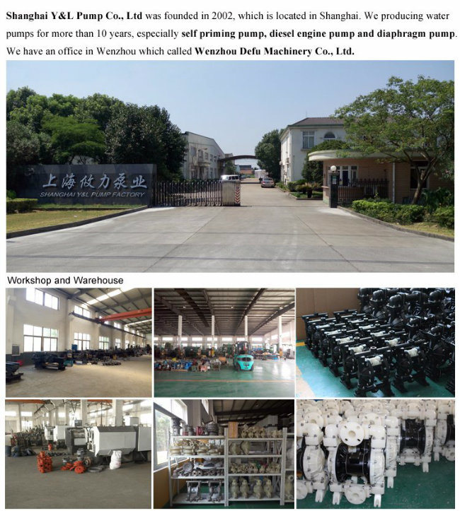 Wholesale Mini Acid Transfer Air Operating Diaphragm Pump