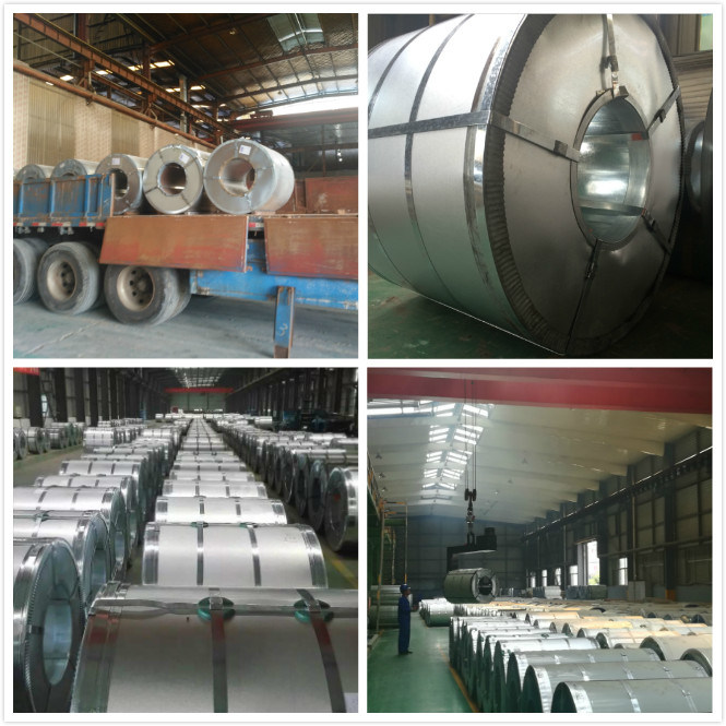 Asia China Shandong Pre-Coated Steel PPGI with Good Price