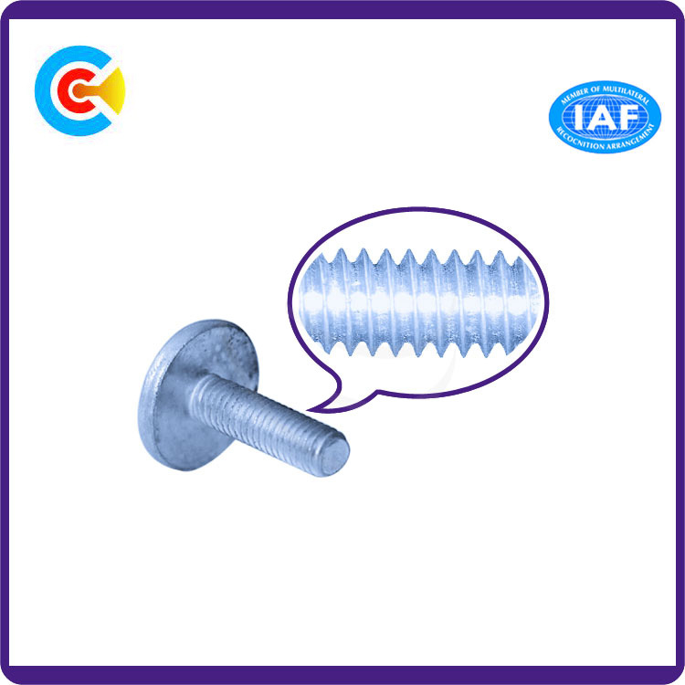 Carbon Steel 4.8/8.8/10.9 Galvanized/M6 Customized Plastic Fastener Round/Flat Head Screws