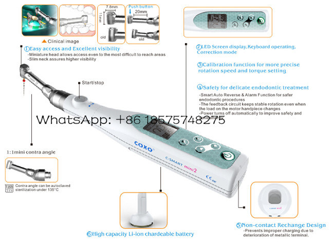 Dental Endo Motor Mate Coxo Endodontic Treatment Equipments