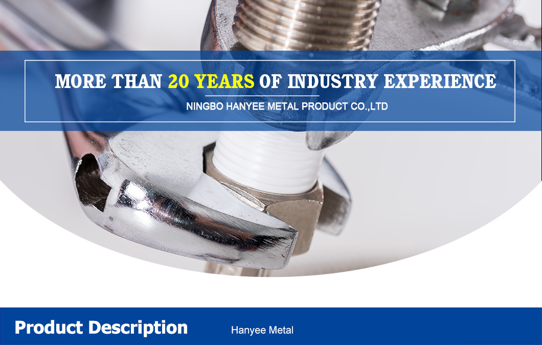 ISO 9001: 2015 Certification Customer Design Stud Nut