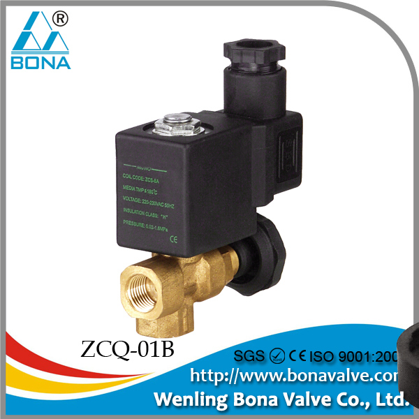 Bona Steam Brass Solenoid Valve (ZCQ-01B)