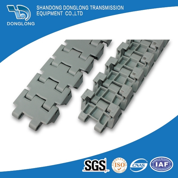 Top Quality Best Price Plastic Conveyor Chain for Food, Drink, Beef, Chicken, Duck, Drug, cosmetic