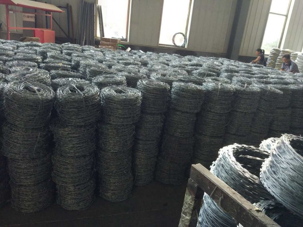 PVC Coated/ Galvanized Safety Barbed Wire