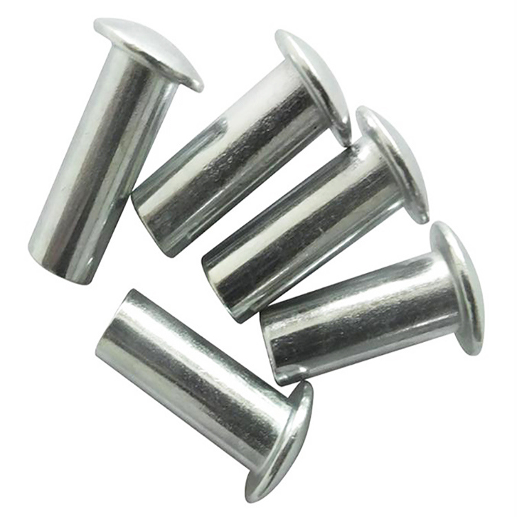 Custom Stainless Steel Flat Round Head Solid Rivet